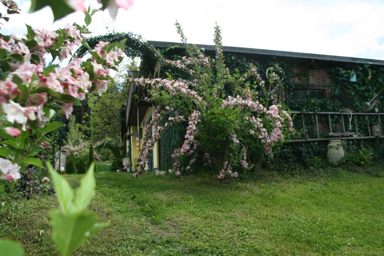 Chalet Damtschach Εξωτερικό φωτογραφία